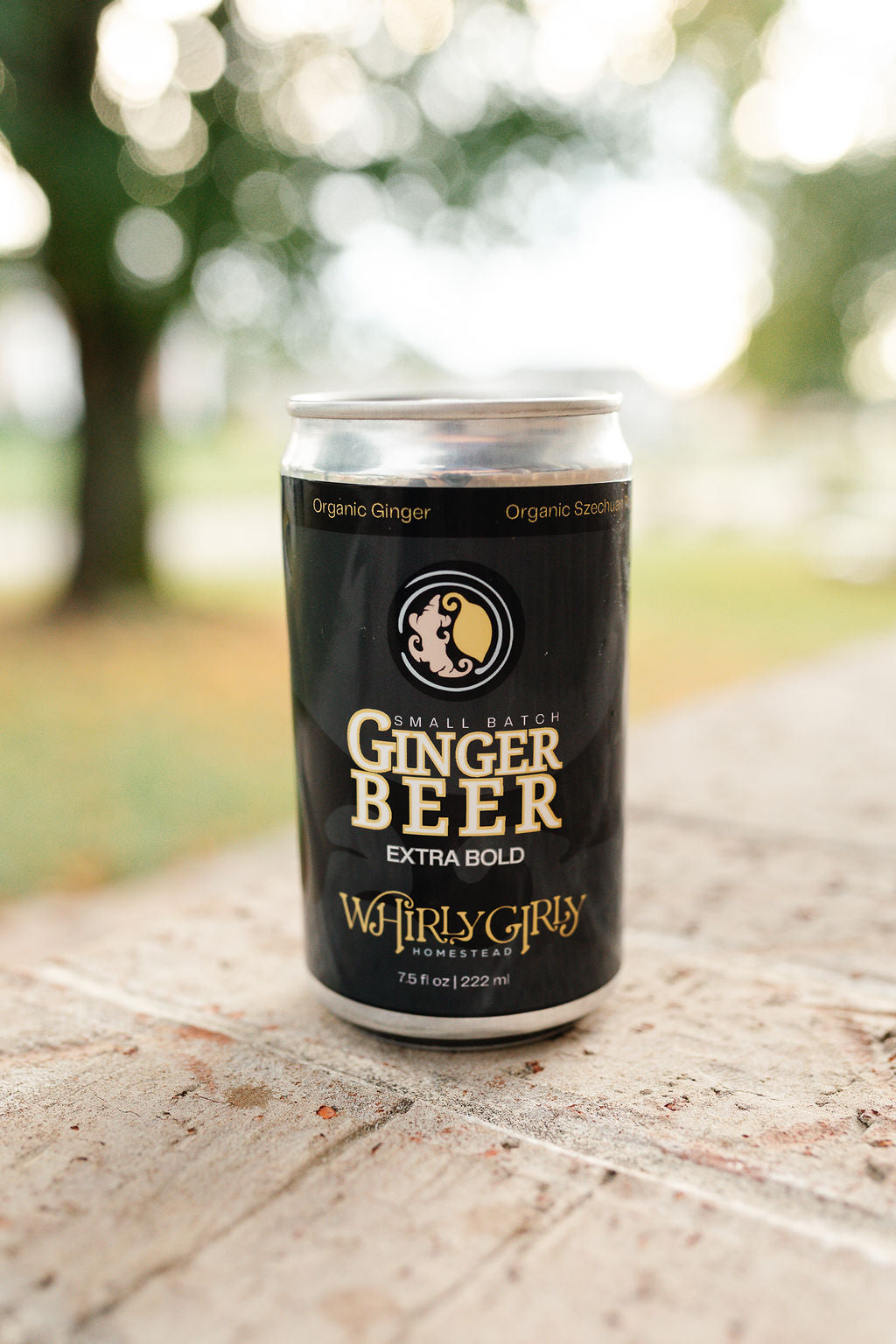 Extra Bold Ginger Beer 7.5 oz