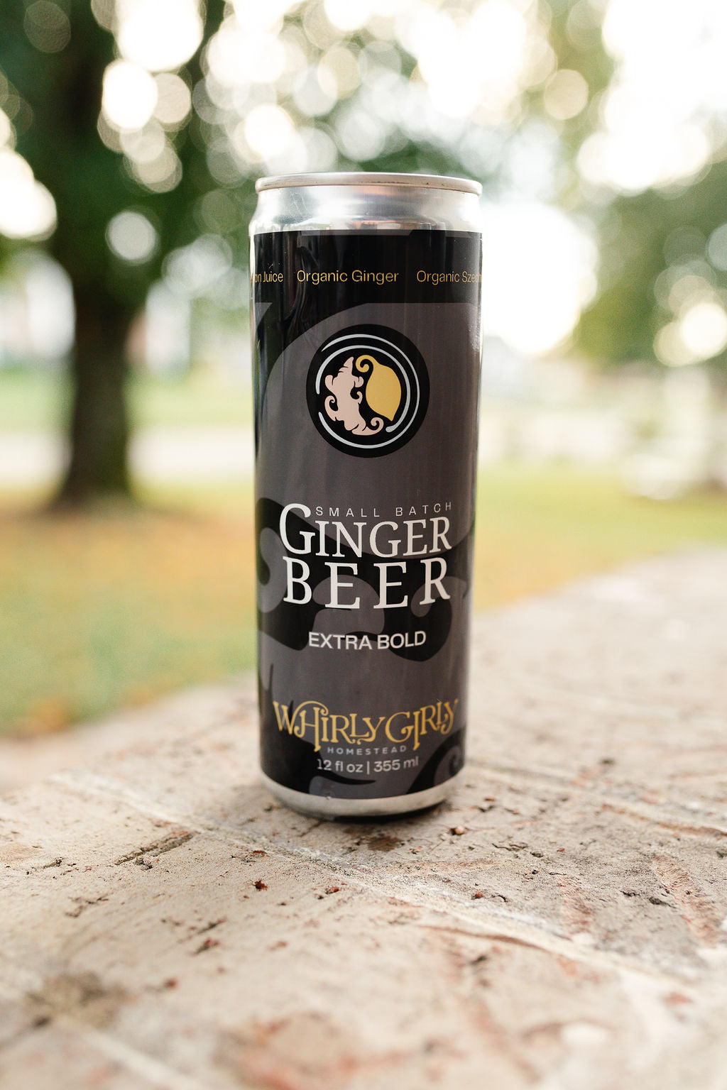 Extra Bold Ginger Beer 12 oz